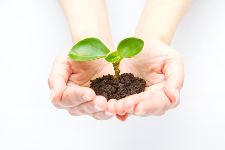 障害年金手続き代行